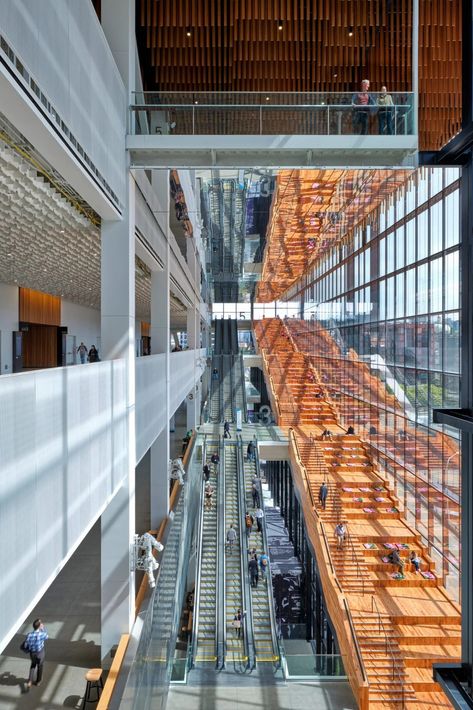 Visitors traverse the interior using the wooden stair or escalators. Seattle Convention Center, Enclosed Staircase, Central Atrium, Arch Building, Building Lobby, Wooden Staircase, Garden Stairs, Stairs Architecture, Wooden Staircases