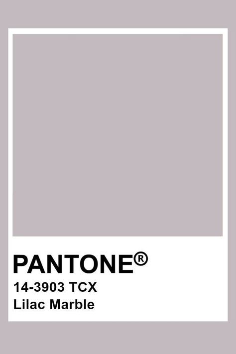 Grey Pantone, Ashes Of Roses, Pantone Tcx, Pantone Color Chart, Pantone Swatches, Pantone Palette, Pantone Colour Palettes, True Summer, Pantone Colors