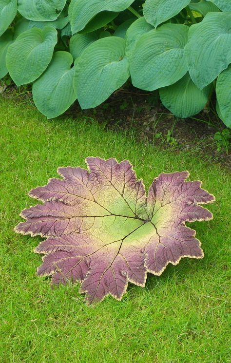 A couple of weeks ago, a friend and I learned how to make concrete leaf castings to put in our gardens. Our instructor was Roberta Palmer... Cement Leaves, Handmade Concrete Planters, Concrete Leaves, نباتات منزلية, Outdoor Crafts, Beautiful Yards, Concrete Crafts, Concrete Garden, Cement Crafts