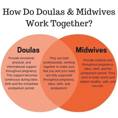 No, they're not the same thing, but work together beautifully! Doula Website, Becoming A Doula, Doula Care, Doula Training, Doula Business, Student Midwife, Postpartum Health, Nurse Midwife, Doula Services