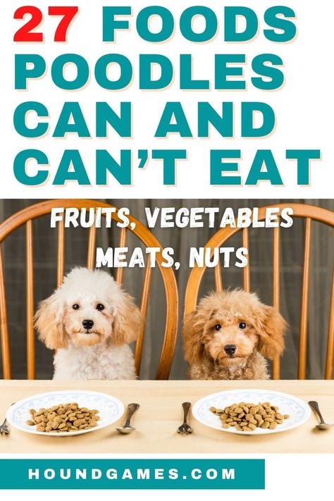 In this 27 Foods Poodles Can and Can't eat, we cover the most common foods owners ask if their dogs can eat. Poodle Puppy Training, Miniature Poodle Puppy, Cute Puppy Photos, Best Puppy Food, Toy Poodle Puppy, Small Poodle, Parti Poodle, Toy Poodles, Dog Advice