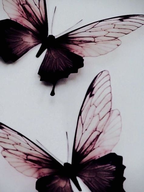 Maroon Photography, Burgundy Aesthetic Wallpaper, Photo Papillon, Burgundy Aesthetic, Shades Of Burgundy, Butterfly Wallpaper, Arte Floral, Butterfly Art, White Aesthetic