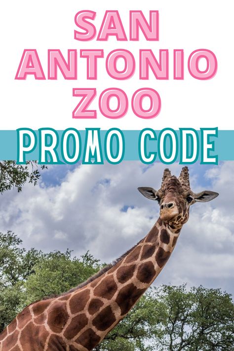 Planning a San Antonio vacation? Looking for fun things to do in San Antonio Texas? The San Antonio Zoo is a must see attraction! You can see incredible animals (750+ species!) like hippos, jaguars, monkeys, lions, giraffes, zebras, kangaroos, bears, snakes, flamingos & more. Find out more, including other activities, such as a 4D Theater & an immersive ice age experience. And learn how to save money with a discount code! San Antonio travel ideas. San Antonio TX family vacation tips. #SATX San Antonio Travel, San Antonio Vacation, American Travel Destinations, San Antonio Zoo, Travel Bucket List Usa, Admission Ticket, Vacation Tips, Vacation Deals, Flight Deals