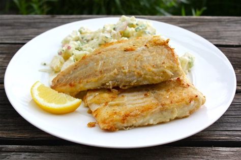 The Great Northern Pike is a fresh water white fish that is delicious fried in butter. Baked Northern Pike Recipes, Northern Pike Recipes, Northern Pike Recipe, Pike Recipes, Gator Recipe, Fishing Recipes, Pike Fish Recipes, Fishing Cake Topper, Pike Fish