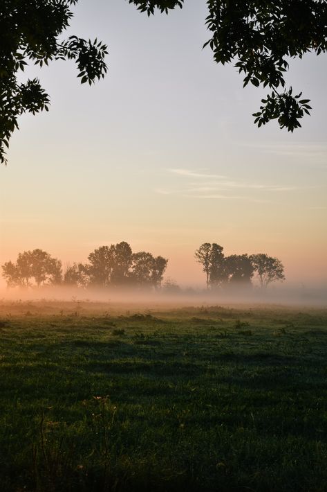 Misty Autumn Morning, Farmstead Aesthetic, Small Town Life Aesthetic, Misty Field, Tennessee Countryside, Forest Paintings, Outdoorsy Girl, Sunrise Wallpaper, Morning Photography