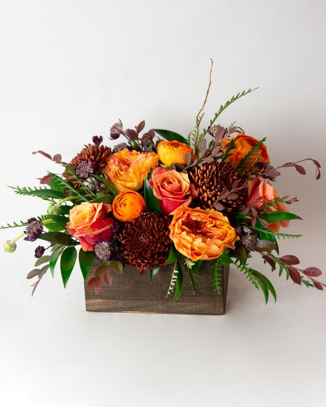 Grab a blanket, some apple cider, and set up a cozy bonfire with our Fireside Picnic Floral arrangement! Bright, firey orange roses, orange ranunculus, delicate burgundy astrantia, dark Fall mums, and burgundy foliage are designed in a keepsake wooden crate. Use as a perfect fall floral centerpiece during your Fall celebrations, or send to someone special to help welcome the Autumn season! Burgundy And Orange Centerpieces, Fall Themed Floral Arrangements, Fall Silk Flower Arrangements, Burgundy Astrantia, Fall Flower Arrangements Centerpieces, Thanksgiving Floral Centerpieces, Autumn Flower Arrangements, Cherry Lacquer, Burgundy Foliage