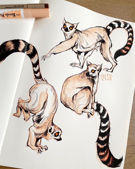 Fantasy Animal Sketches, Animal Art Drawing Sketches, Loish Art, Lemur Illustration, Lemur Art, Different Animals, Animal Illustration Art, Animal Drawings Sketches, Animal Study