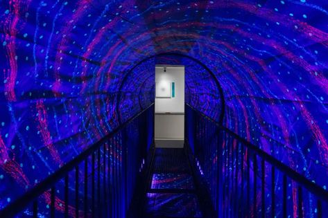 Home - Museum of Illusions Toronto Vortex Tunnel, Museum Concept, Art O Mat, Museum Of Illusions, Dubai Frame, Dubai Aquarium, Dubai Garden, Saltwater Crocodile, Wheel Chair