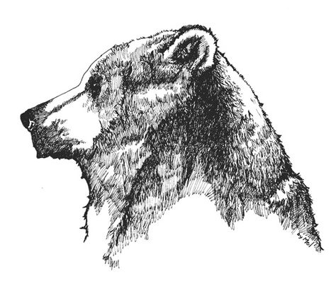 bear profile - produced originally for a tee-shirt Bear Profile Tattoo, Bear Side Profile Tattoo, Bear Side Profile Drawing, Bear Profile, Black Bears Art, Native Symbols, Vintage Shirt Design, Bear Artwork, Profile Drawing