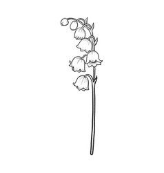 Lily Of The Valley Ghost Drawing, Valley Of The Lily Tattoo, Fine Line Lily Of The Valley Flower Tattoo, Lilly Of The Valley Sketch, Lily Of The Valley Fairy Tattoo, Line Art Lily Of The Valley, Lily Of The Valley Vector, Lilly Of The Valley Drawing Tattoo Ideas, Lilly Of The Valley Drawing Simple