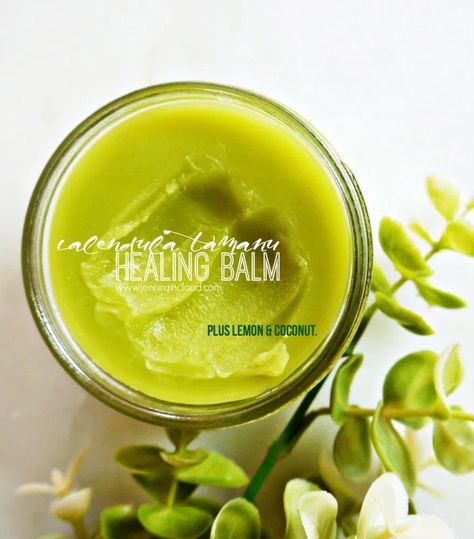 DIY Calendula Tamanu Healing Balm with Lemon & Coconut... - Jenni Raincloud Healing Balm Recipe, Diy Healing Balm, Healing Salve, Salve Recipes, Healing Salves, Healing Balm, Tamanu Oil, Calendula Oil, Lemon Coconut