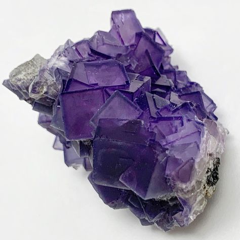 Fluorite - Cluster of Terminated Colorless to Purple Glassy Fluorite Crystals - This Specimen is from Morocco — #GEMandM #Fluorite #Crystals #FluoriteFriday #Minerals #FineMinerals #PurpleFluorite #Gemstones #RockShop #Rocks #Rockhound #Fluorites Black Pinterest, Fluorite Crystals, Purple Fluorite, Fine Minerals, Ultraviolet Light, Winter Boho, Crystal Geode, Summer Street, Coral Stone