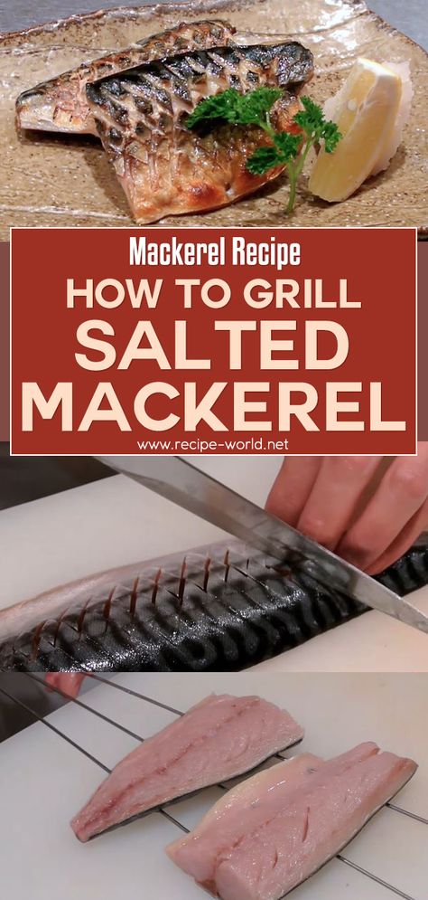 Recipe World Mackerel Recipe - How To Grill Salted Mackerel - Recipe World Salted Mackerel Recipe, Mackerel Fillet Recipes, Mackerel Recipe, Grilled Mackerel, Mackerel Recipes, Smoked Mackerel, Mackerel Fish, Chicken Stroganoff, Paleo Cookbook