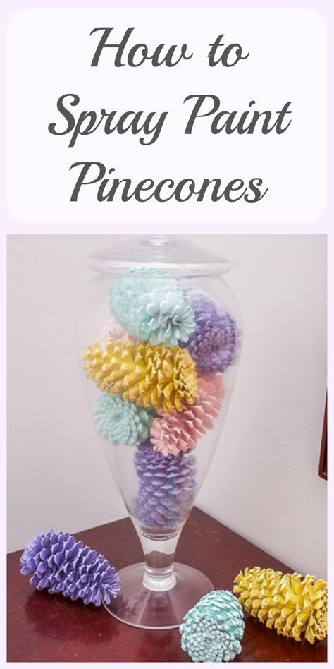 Pinecones are great to use as decor. This easy tutorial for how to spray paint pinecones will help you create a unique display for your home. Spray Painting Pine Cones Diy, Spray Painting Pine Cones, Pinecorn Crafts, How To Paint Pinecones, Pinecone Display, Spray Paint Pine Cones, Pinecones Wreaths, Painting Pinecones, Paint Pinecones