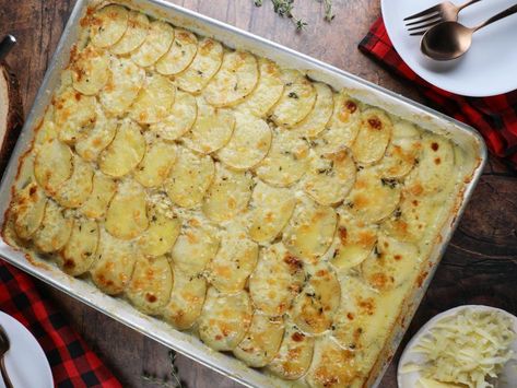 Sheet Pan Scalloped Potatoes, Scalloped Potatoes Recipe, Scalloped Potato Recipes, Scalloped Potatoes, Sheet Pan Dinners, Potatoes Recipe, Potato Dishes, Kitchen Food, Potato Recipes