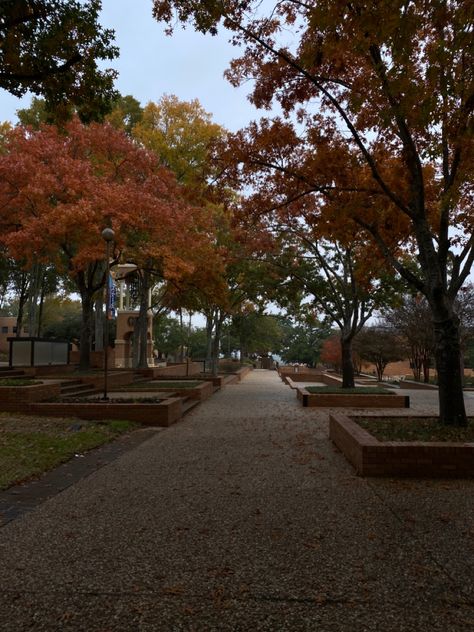 Fall, trees, leaves, college, university, autum Texas State University Aesthetic, Oklahoma University Aesthetic, Salem State University, Sam Houston State University, Washington State University Campus, Sam Houston, Life Plan, State University, Houston