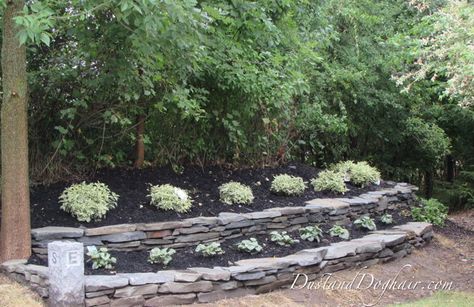 stacked stone short retaining wall - Google Search Terraced Patio Ideas, Stacked Stone Wall, Stone Walls Garden, Dry Stack Stone, Stacked Stone Walls, Stone Landscaping, Stone Retaining Wall, Landscaping Retaining Walls, Tiered Garden