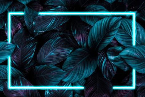 Dj Background, Creative Logo Design Art, Keyboard Themes, Desktop Background Pictures, Neon Backgrounds, Desktop Wallpaper Art, Background Hd Wallpaper, Logo Design Art, Framed Wallpaper