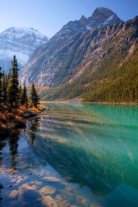 https://flic.kr/p/4kp3PU | C6CT8792 | Mt. Edith Cavell and Cavell Lake, Jasper National Park, Alberta, Canada.  Thanks,  Ron Niebrugge Niebrugge Images - stock photos  My Photo Blog Jasper National Park Canada, Jasper Alberta, Mountain Goats, Icefields Parkway, Amazing Scenery, Canada National Parks, Parks Canada, Jasper National Park, Alberta Canada