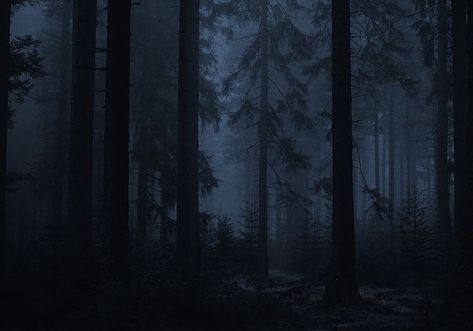 Creepy Woods, Moody Wallpaper, Indie Photography, Dark Forest Aesthetic, Sick Boy, Forest Background, Christian Artwork, Foggy Forest, Night Forest