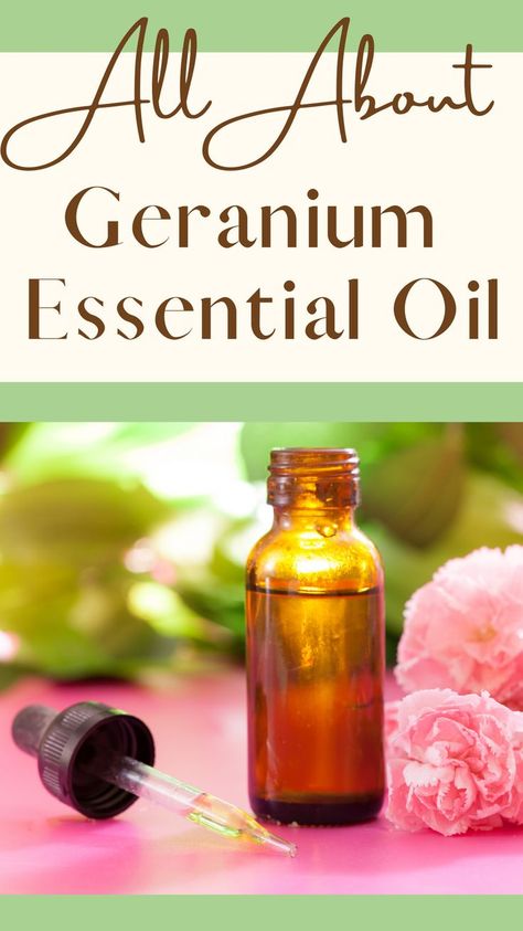 🌹 Elevate Your Well-Being with Geranium Essential Oil! 🌟💧 Geranium Oil For Skin, Geranium Essential Oil Benefits For Skin, Geranium Essential Oil Uses, Geranium Oil Benefits, Rose Geranium Essential Oil Benefits, Geranium Essential Oil Blends, Geranium Oil Uses, Geranium Essential Oil Benefits, Green Roots