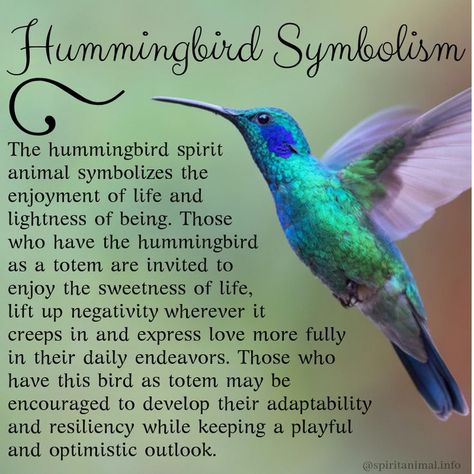 Hummingbird Meaning, Spirit Animal or Totem Meaning Of Hummingbird, Hummingbird Quotes, Hummingbird Meaning, Hummingbird Symbolism, Bird Meaning, Hummingbird And Flower, Small Wave Tattoo, Spirit Animal Meaning, Animal Meanings