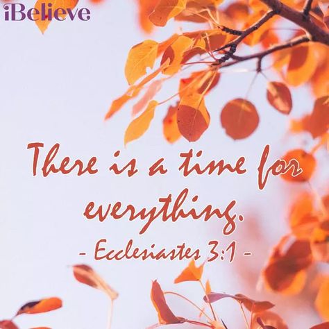 A Prayer for Fall - Your Daily Prayer - September 29 Women Small Group, Biblical Wallpaper, A Time For Everything, Feast Of Tabernacles, Let's Pray, Scripture Of The Day, Life Questions, Prayer For Today, Gods Word