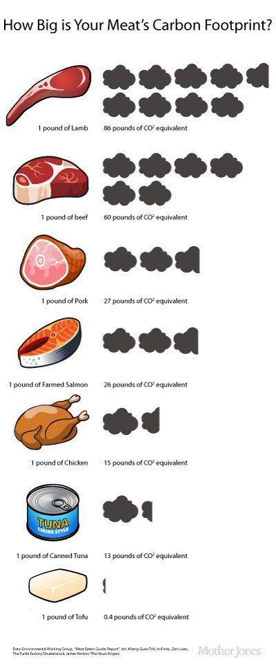 Vegan diets have the smallest carbon footprints! Nutrition Label, Environmentally Friendly Living, Nutrition Chart, Save Our Earth, Why Vegan, Vegan Nutrition, Zero Waste Living, Eco Living, Environmental Awareness