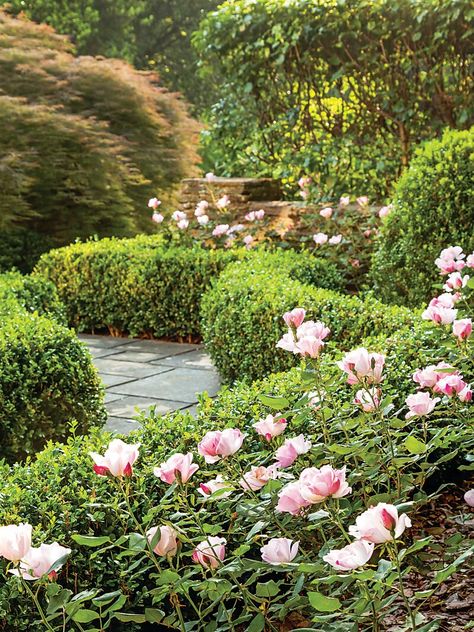 Designer Q&A with John Howard - Southern Home Magazine Southern Garden Landscaping, Courtyard Entrance, Garden Renovation, Boxwood Garden, John Howard, Georgian House, Forsyth Park, Southern Garden, Herbaceous Border