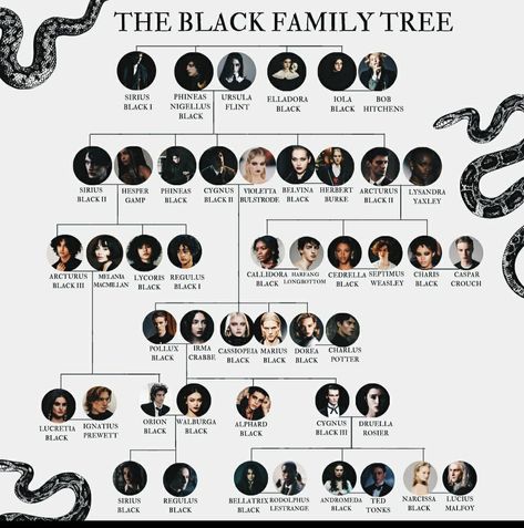 Sirius Black Family, The Black Family Tree, Hp Headcanon, Black Family Tree, Harry Potter Family Tree, Harry Potter Sirius Black, The Black Family, Harry Potter Sirius, Harry Potter Wiki