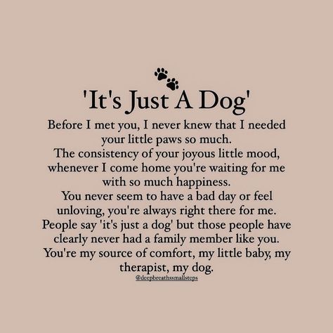 Dogs Know When Your Sick Quotes, Abandoned Dogs Quotes, We Don’t Deserve Dogs Quotes, Dog Best Friend Quotes Love, When Your Dog Is Sick Quotes, Sick Pet Quotes Dogs, Dog Died Quotes, Sick Dog Quotes, Soul Dog Quotes