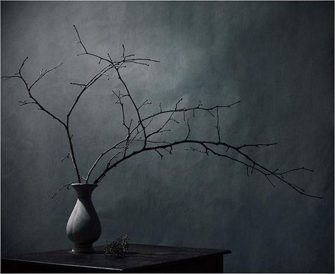 #art #photography #still_life #wabi_sabi #Ikebana #japan #darkness #cold #gray Wabi Sabi Flowers, Wabi Sabi Decor, Wabi Sabi Art, Ikebana Arrangements, Wabi Sabi Style, Still Life Photos, Japanese Flowers, Deco Floral, Arte Floral