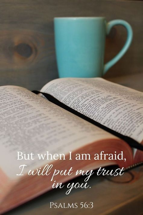 God's power is far greater than any fear we'll ever face. These inspirational bible verses about battling fear and worry will bring you strength and peace. #inspirationalbibleversesaboutfear #scripturesaboutfear Scriptures On Fear, Bible Verses About Fear, Verses About Fear, Evil Characters, Inspirational Scriptures, Bold Faith, Trust In Him, Hearing Gods Voice, Uplifting Bible Verses