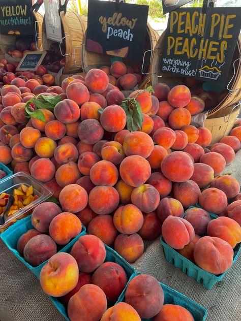 Peaches, Fruit, Farmer’s Market, Swap Meet, Produce, Fresh Perfume Moodboard, Farmers Market Aesthetic, Beach Farmers Market, Mood 2024, Seasons Changing, Market Aesthetic, Beach Market, Street People, Fruit Platter Designs