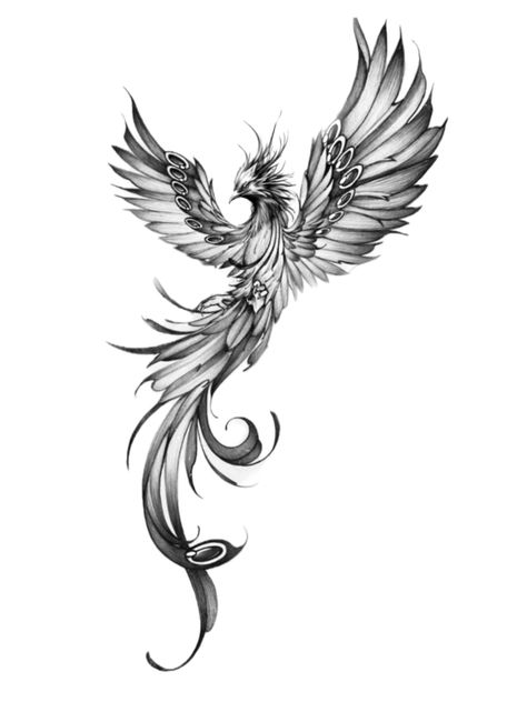 Phoenix Tattoo Women, Concept Tattoo, Small Phoenix Tattoos, Phoenix Bird Tattoos, Phönix Tattoo, Phoenix Artwork, Bookish Tattoos, Basic Tattoos, Phoenix Tattoos