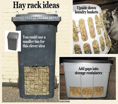 Use dollar store garbage bin (small) Horse Hay Feeder Ideas, Diy Hay Feeder For Goats, Goat Feeders Ideas Hay, Diy Goat Hay Feeder, Diy Hay Feeder, Goat Hay Feeder, Goat Feeder, Goat Playground, Goat Ideas