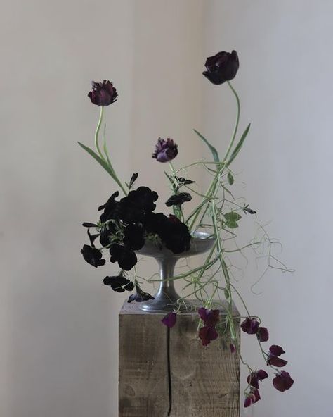 All Black Garden, Black Tulip Bouquet, Black Flower Arrangements, Black Floral Arrangements, Dark Floral Arrangements, Black Flower Wedding, Garden Style Bouquet, Tulips Black, Tulip Arrangement