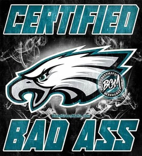 Philadelphia Eagles Shoes, Eagles Wallpaper, Philadelphia Eagles Wallpaper, Funny Football Pictures, Eagles Kelly Green, Philadelphia Eagles Super Bowl, Philadelphia Eagles Logo, Philly Eagles, Philly Sports