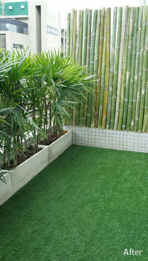 Plants Restaurant, Potted Palms, Balkon Decor, Small Balcony Garden, Balcony Plants, Restaurant Ideas, Bamboo Fence, Balcony Furniture, Apartment Balcony Decorating