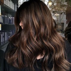 Chestnut Hair Color Ideas for Fall: Subtle Chestnut Undertones Undertones Hair, Warm Brunette Hair Color, Homemade Hair Growth, Homemade Hair Growth Oil, Hair Color Brown Chestnut, Going Dark, Chestnut Brown Hair, Warm Brunette, Golden Brown Hair