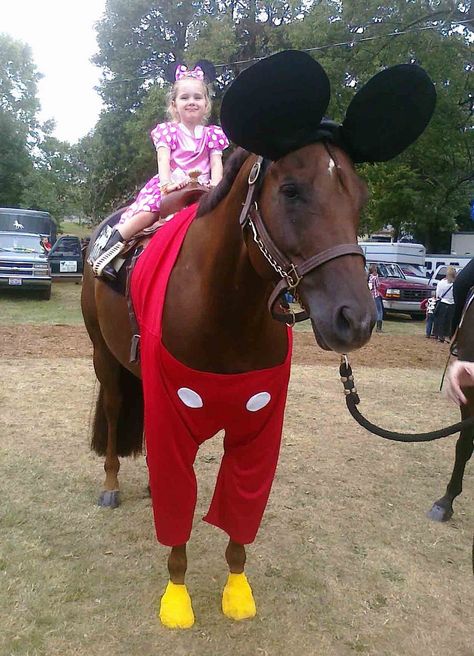 Minnie and Mickey Mouse horse costume. Dress your American Quarter Horse up and send us a picture of your creative horse costume ideas! Horse Costume Ideas, Horse Halloween Ideas, Horse Fancy Dress, Horse Halloween Costumes, Horse Costume, Mickey Mouse Costume, Horse Costumes, Horse Dress, Avatar 2