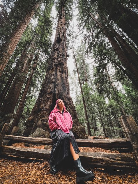 Redwood trees at Henry Cowell national forest near Santa Cruz, California photoshoot ideas Redwood Photoshoot, Hope Scope, California Photoshoot, Redwoods California, Forest Photoshoot, Fall Aesthetics, Redwood Trees, I Want To Leave, Santa Cruz California