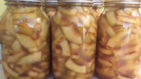 Mock Apple Pie Filling With Zucchini Canned, Canning Mock Apple Pie Filling With Zucchini, Mock Apple Pie With Zucchini For Canning, Mock Apple Pie With Zucchini Canned, Zucchini Roses, Zucchini Apples, Zucchini Jam, Canning Zucchini, Canned Zucchini