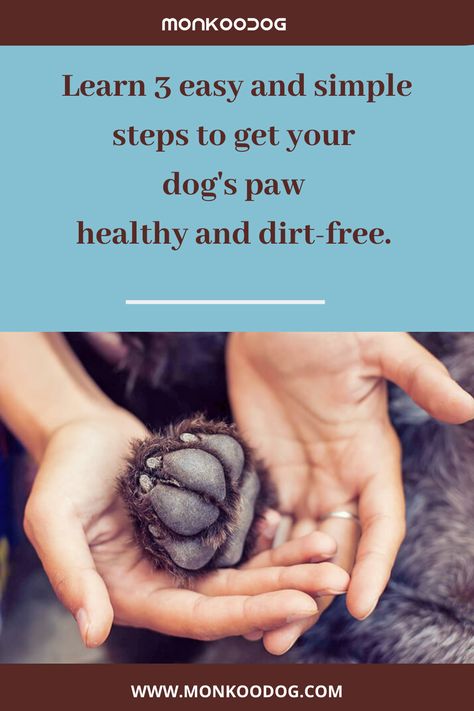 Dog Paw Cleaning Station, Dog Weight Chart, Weight Gain For Dogs, Paralyzed Dog, Dogs Paws, Cleaning Station, Dog Grooming Tips, Paw Cleaner, Dog Health Tips