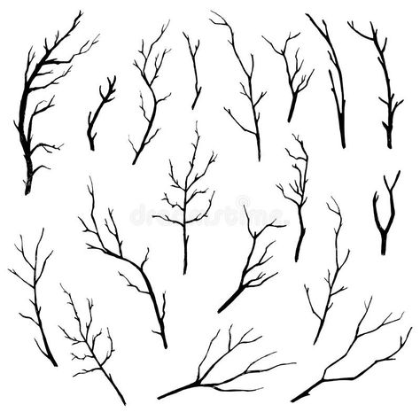 Sketch Wood Twigs, Broken Tree Branches Vector Set Stock Vector - Illustration of limb, environment: 90013381 Environment Drawing, Branch Tattoo, Branch Vector, Spider Tattoo, Tree Sketches, Pen Sketch, Tree Tattoo, Illustration Sketches, Tree Branch