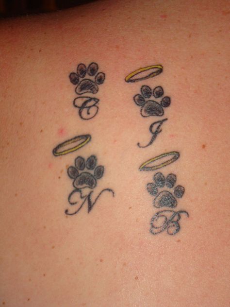 Pawprint Tattoo With Halo, Dog Tattoo For Multiple Dogs, Paw Print Halo Tattoo, Paw Print With Halo Tattoo, Multiple Dog Memorial Tattoos, Memorial Tattoo For Multiple People, Tattoo To Remember Your Dog, Simple Dog Memorial Tattoo, Dainty Small Tattoos