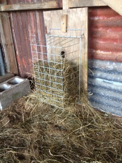 Hay Rack Ideas, Diy Hay Rack, Diy Rabbit Hay Feeder, Rabbit Hay Feeder Diy, Diy Hay Feeder Rabbit, Rabbit Hay Feeder, Hay Feeder For Rabbits, Hay For Rabbits, Hay Holder For Rabbits