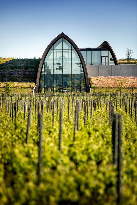 Libourne France, Wineries Architecture, St Emilion, French Countryside, Green Roof, Wine Cellar, Unesco World Heritage, World Heritage Sites, Picture Gallery