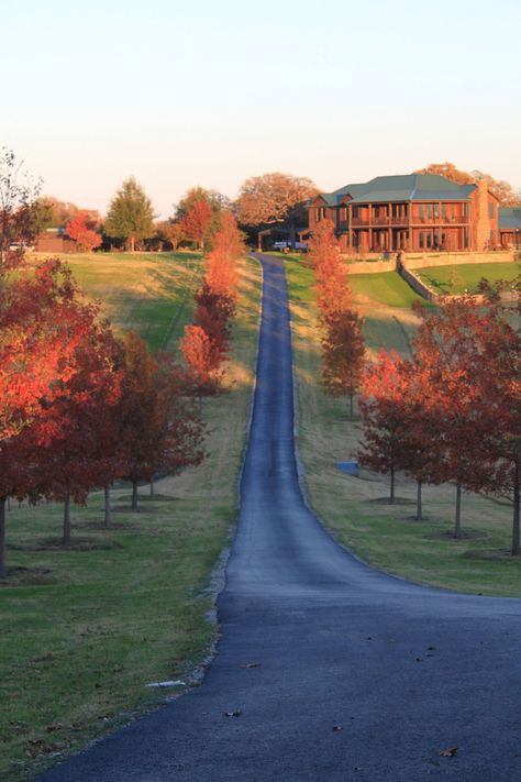 Welcome to The Terry Bradshaw Quarter Horses Ranch Beautiful Kitchen Ideas, Horses Ranch, Julia Morgan, Patrick Duffy, Designer Homes, Sky Home, Ranches For Sale, Farm Activities, Ranch Farm