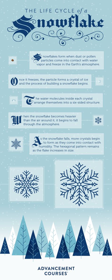 Lesson Plan Inspiration: The Life Cycle of a Snowflake Snowflake Unit Study, Snow Facts For Kids, Snowflake Lesson, Life Cycle Of A Snowflake, Snowflake Science, Winter Storytime, Snow Facts, December Stem, Nature Curriculum